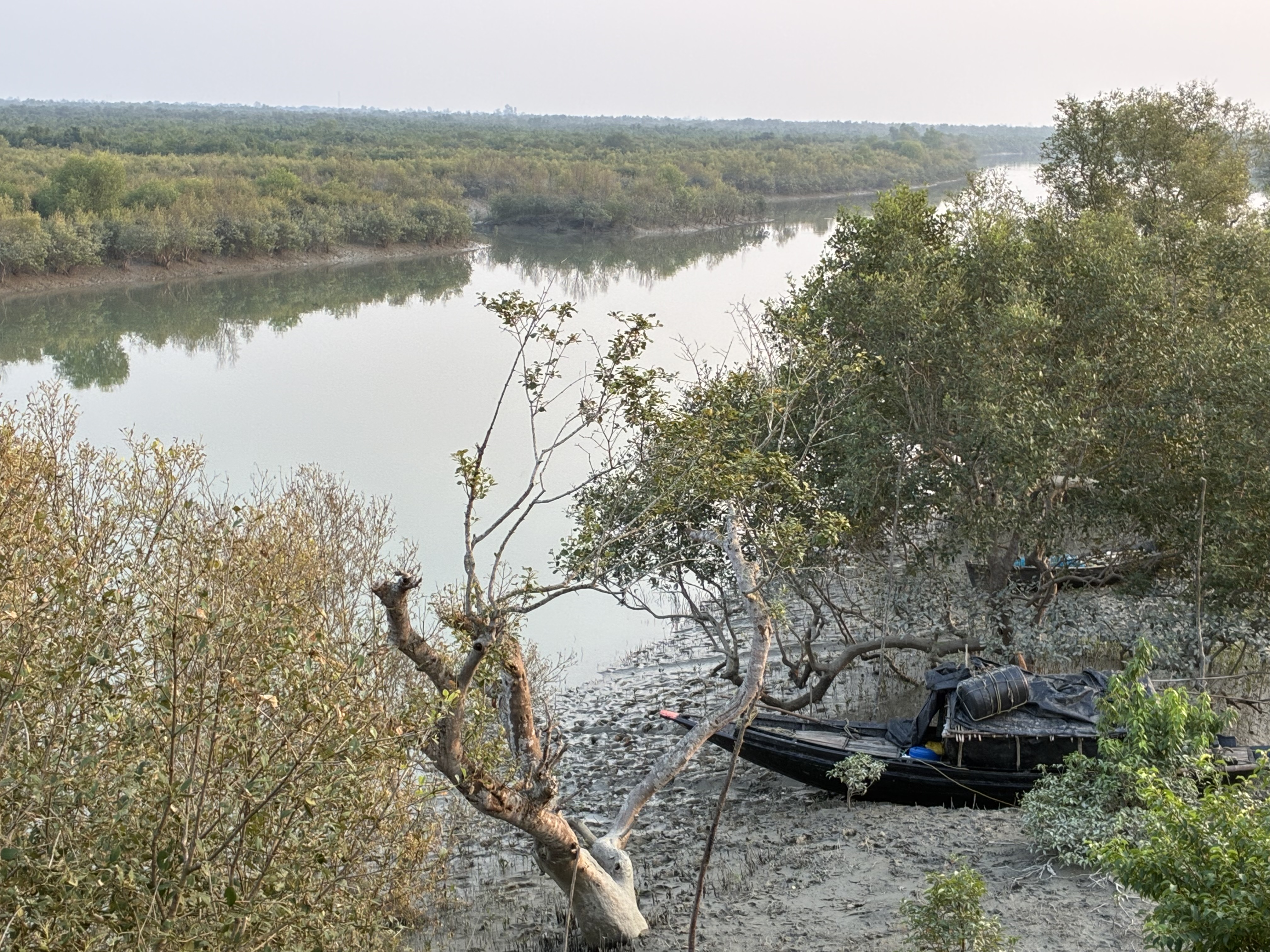 sunderbans